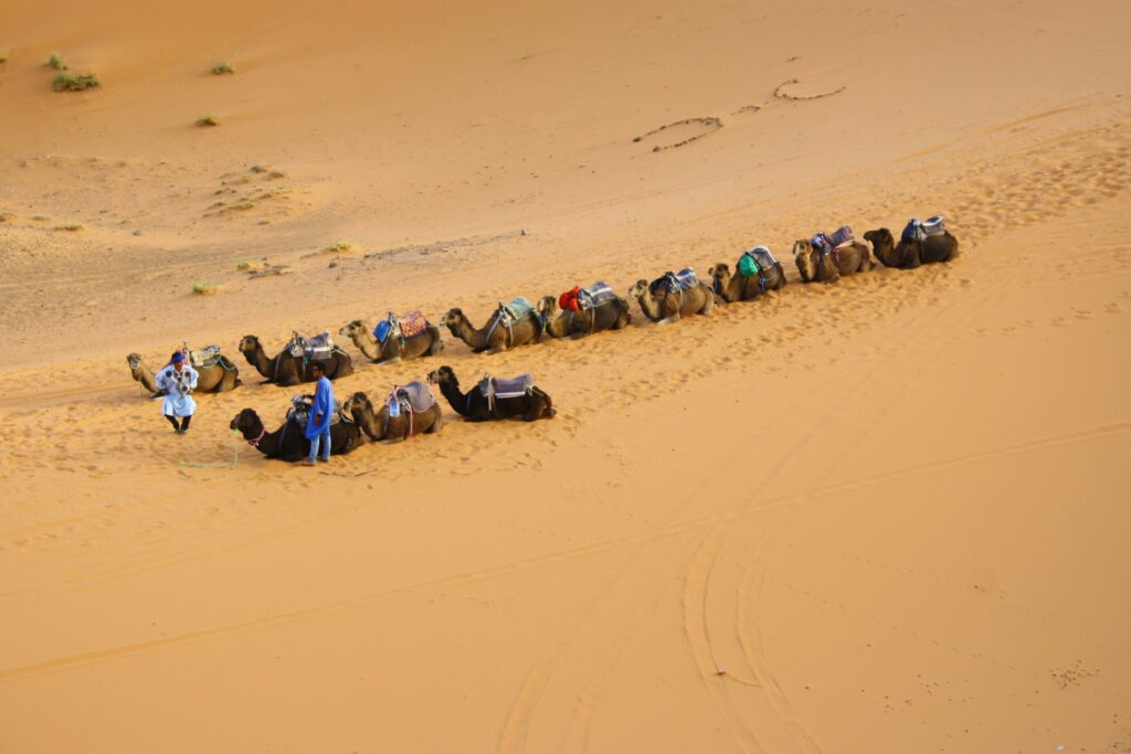 1 night camel trekking in Merzouga